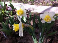 IMG_2125.JPG