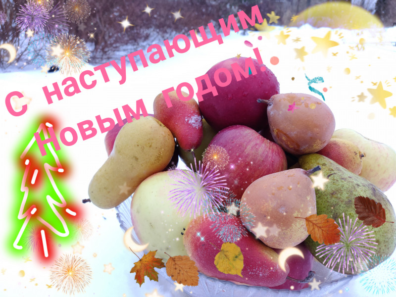Polish_20201231_094938041.jpg