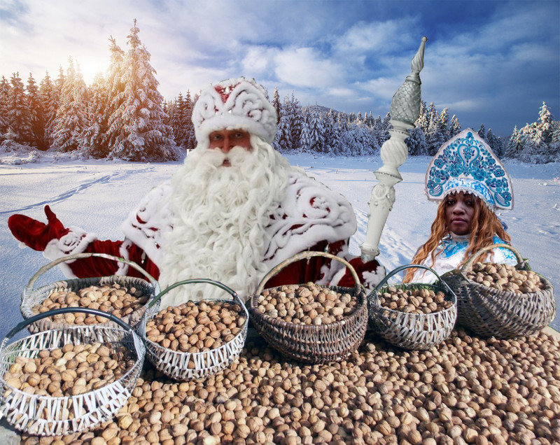 moroz orexi (2).jpg