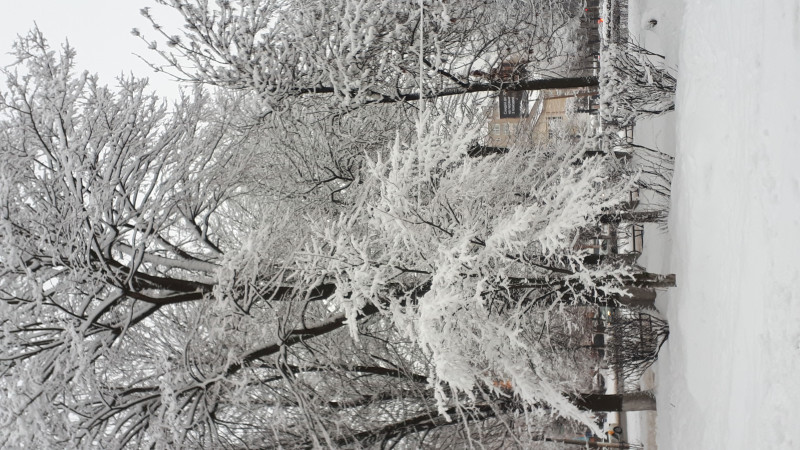 IMG-20210105-WA0052.jpeg