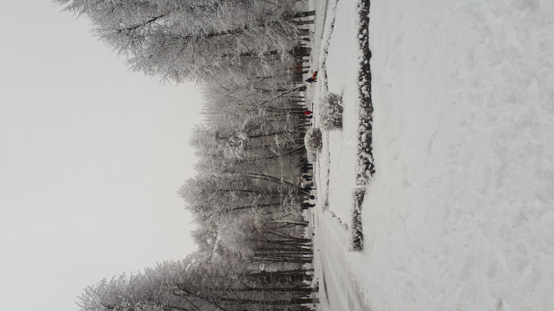 IMG-20210105-WA0076.jpeg