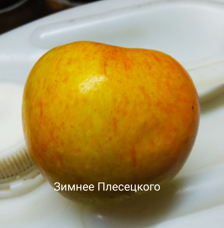 IMG_20210108_170907.jpg
