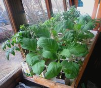 Изображение 009.jpg
