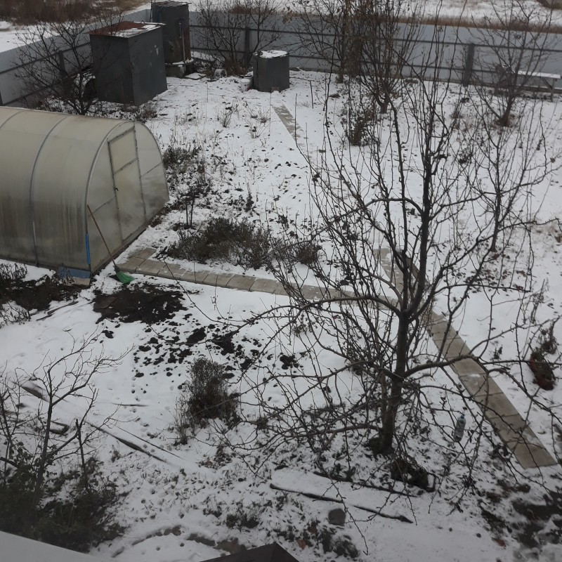 20201121_161914.jpg