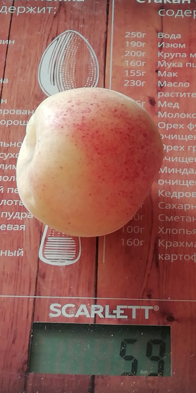 Лель