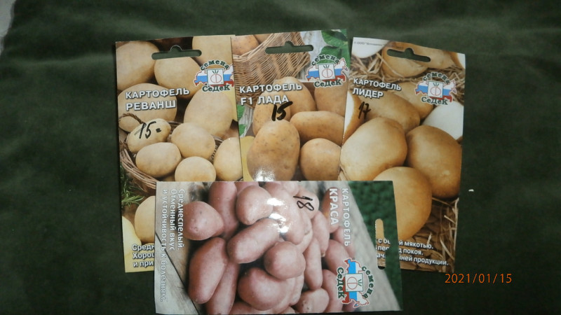 P1155331.JPG