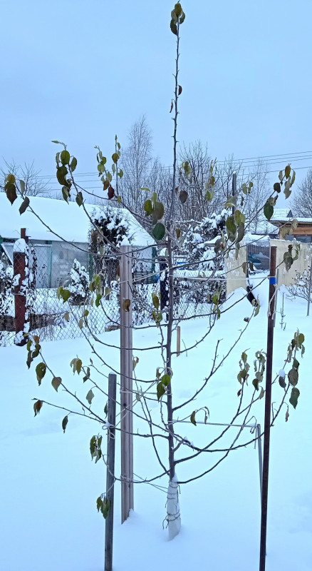 11.01.2021 г..jpg