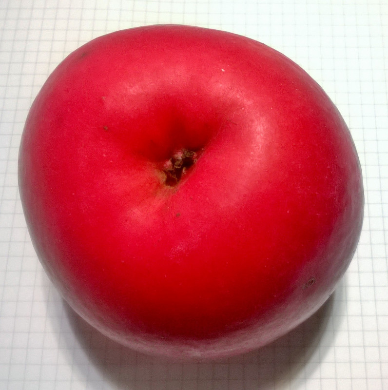 WP_20210120_00_42_44_Pro.jpg