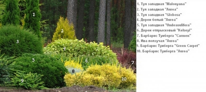 Балтезерс.jpg