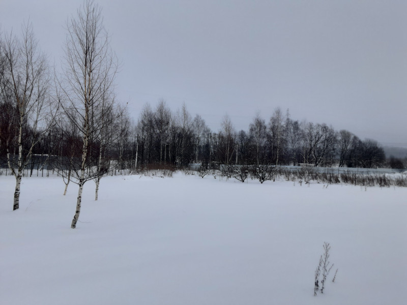 20210123_131733.jpg
