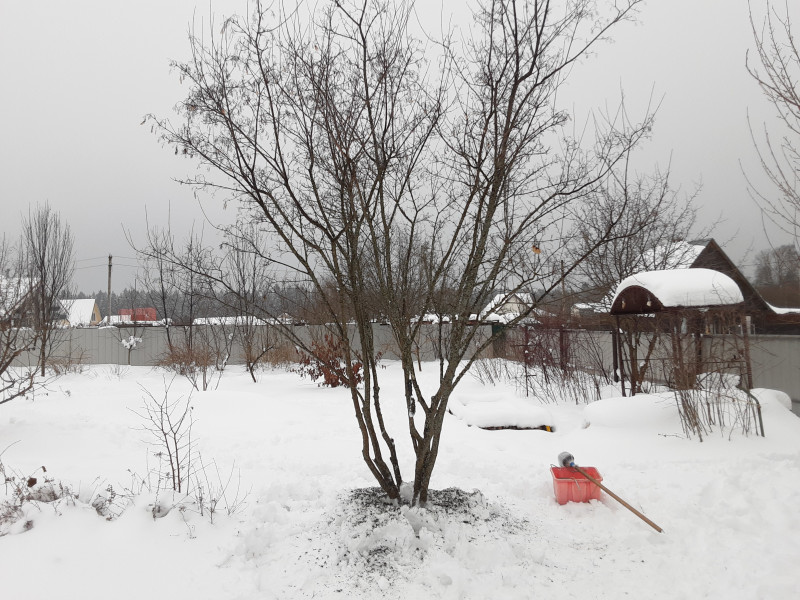 20210123_145905.jpg