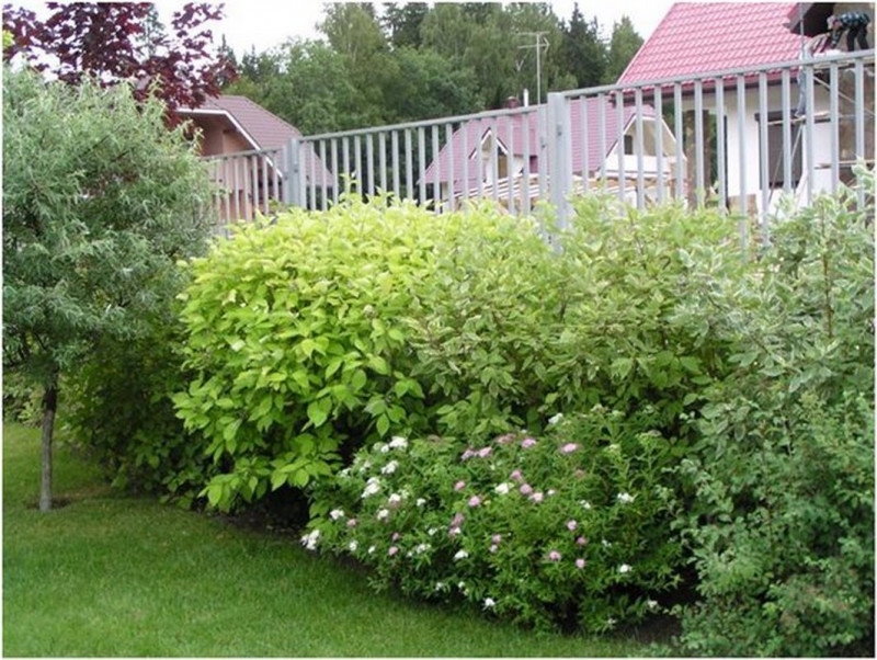 3c55014383cd.jpg