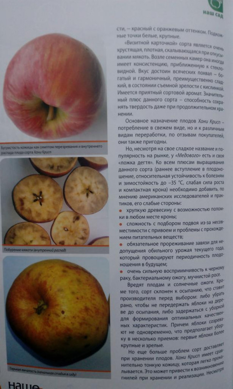 ХаниКрисп3.jpg