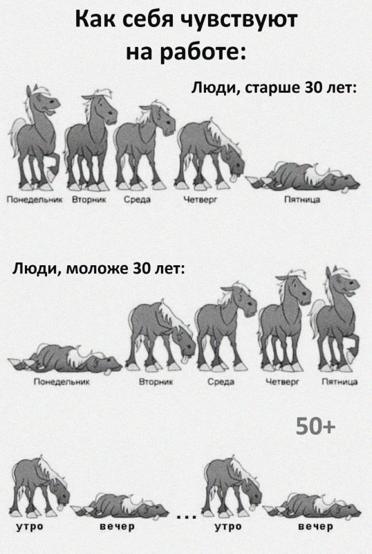 InrZyc4QYvo.jpg