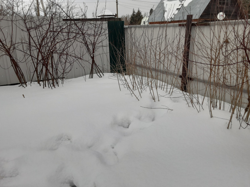 20210129_142926.jpg