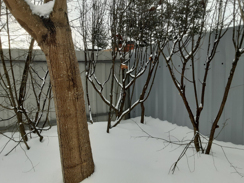 20210129_143156.jpg