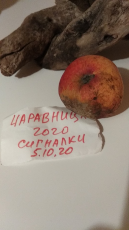 Чаравница 30 янв 2021.jpg