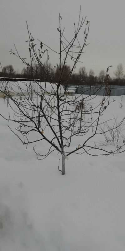 IMG_20210120_113553.jpg