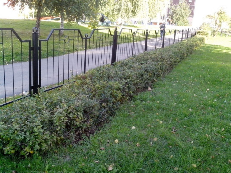 В школе.jpg