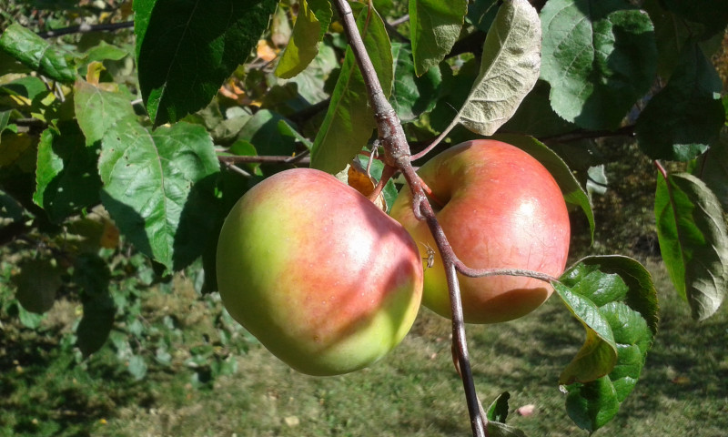 20201006_122115.jpg