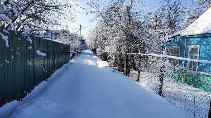 P10206-114844.jpg