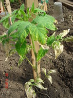 DSC07567.JPG