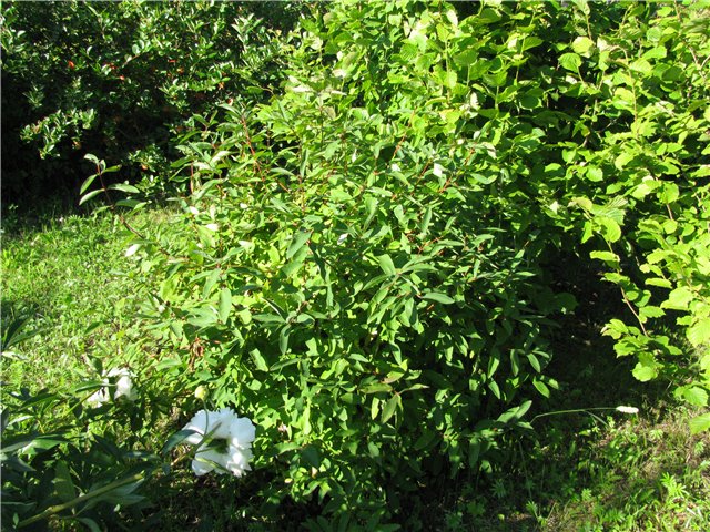 043a5439f73b.jpg