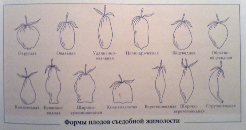 3cbedc4ce296.jpg