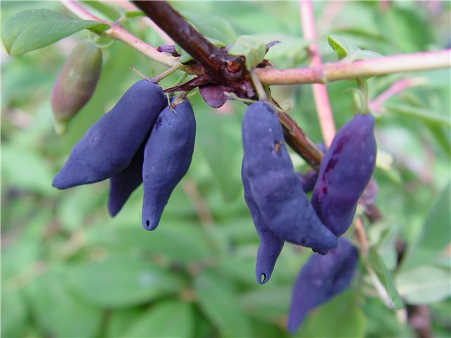 b8dd0248b53f.jpg