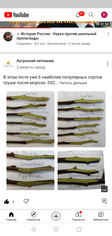 Screenshot_20210210-163119.jpg