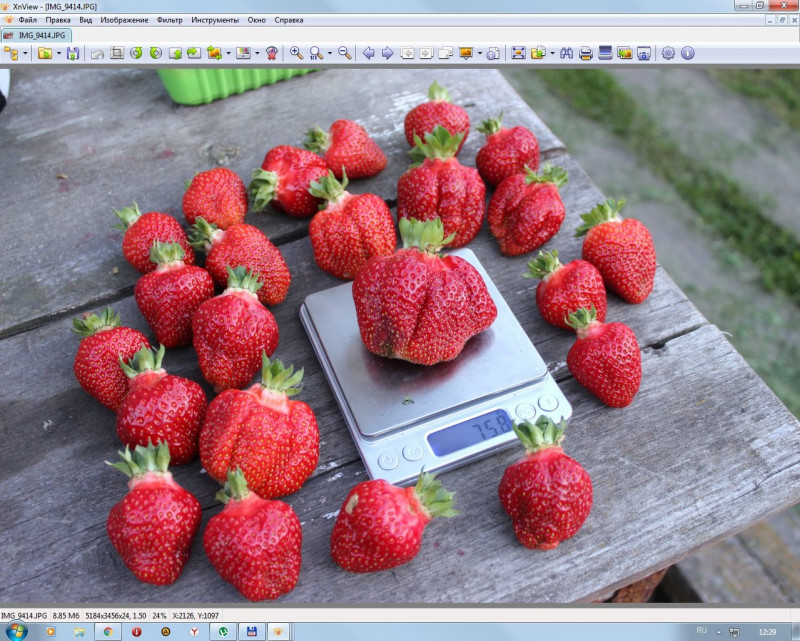 screenshot2.jpg