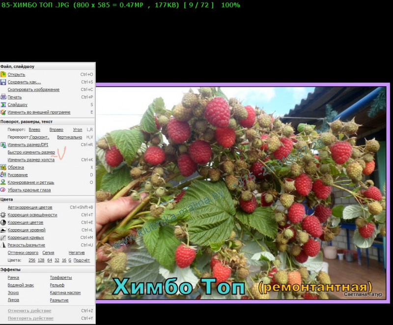Screenshot_2.jpg