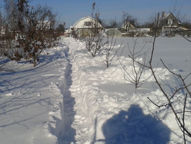 После метели1.JPG