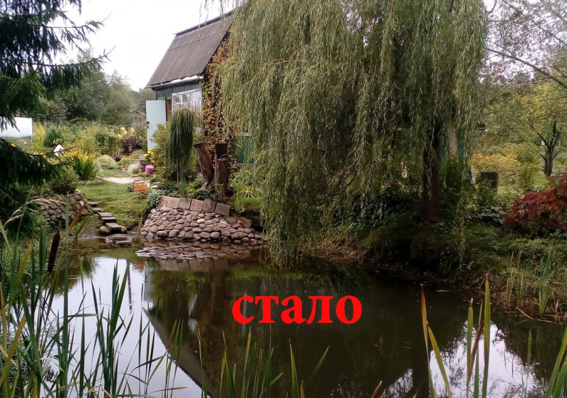 IMG_20190920_124037 стало.jpg