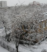 P1070815ип.jpg