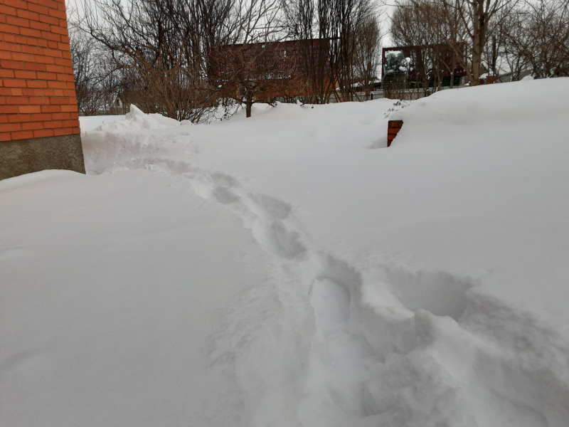 20210220_163403.jpg