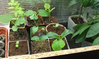 IMAG0188.jpg
