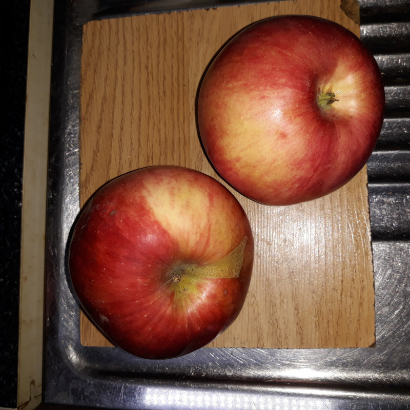 20201001_212828.jpg