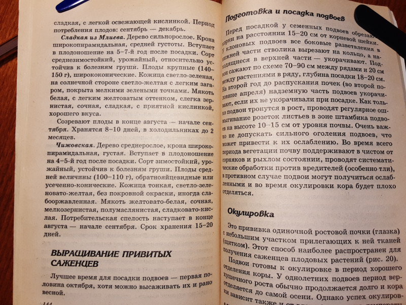 20210302_094406.jpg