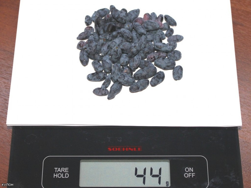 75a78d3f43cd.jpg