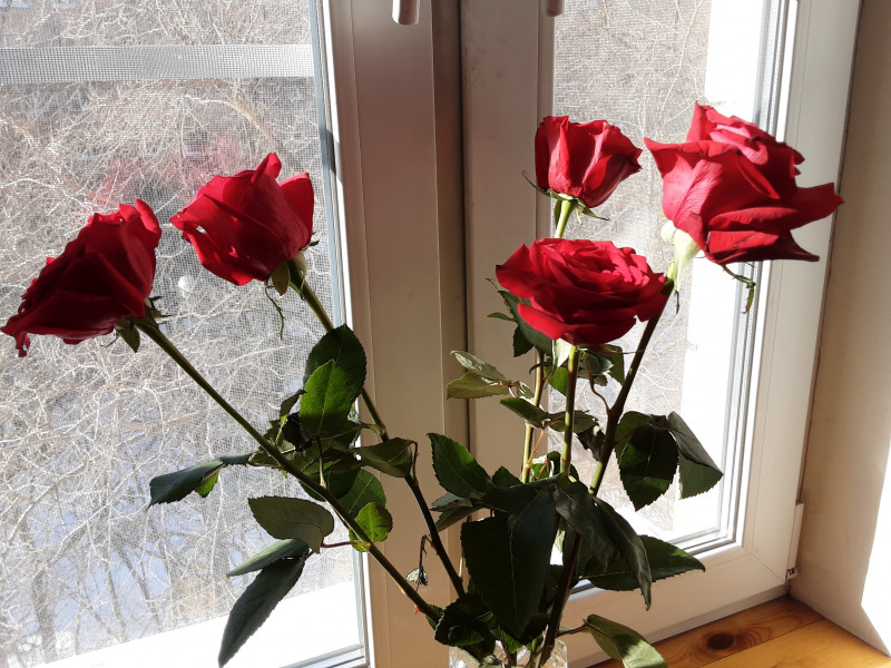 20210310_142942.jpg