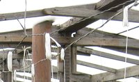 IMG_0783.jpg