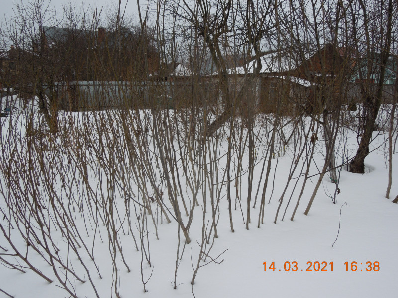 DSCN8963.JPG
