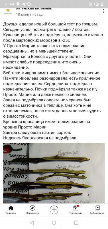 Screenshot_20210319-214406.jpg