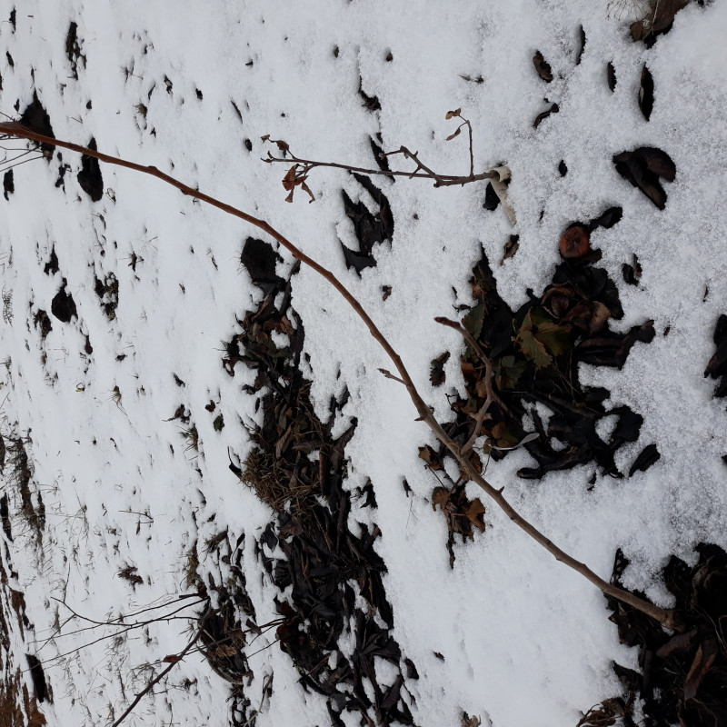 20210321_151424.jpg