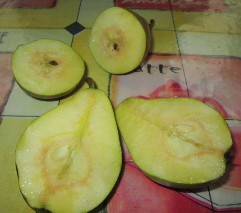 2015.07.29_17h56m24s.jpg