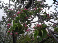 DSCN5262.JPG