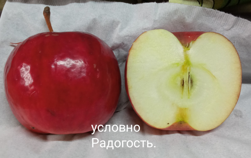 IMG_20210407_082008.jpg