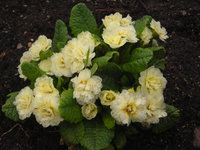 DSCN5234.JPG