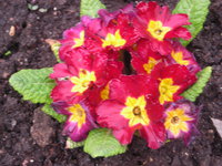 DSCN5237.JPG
